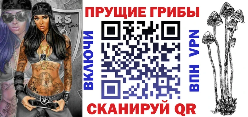 Псилоцибиновые грибы Psilocybine cubensis  где купить наркоту  Злынка 
