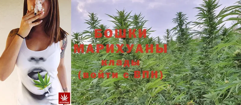 mega маркетплейс  Злынка  Бошки марихуана White Widow  цена наркотик 